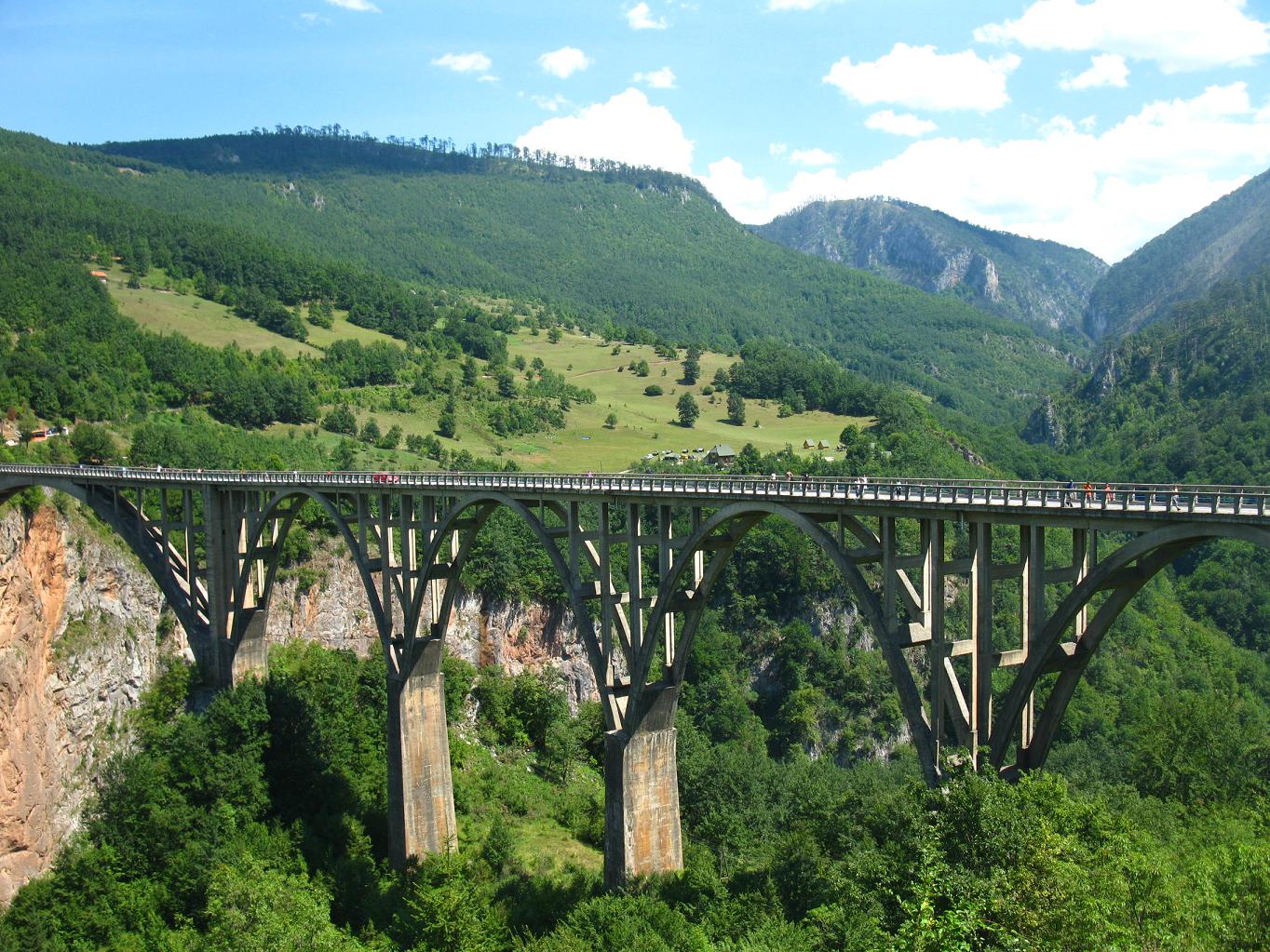 Tara Bridge